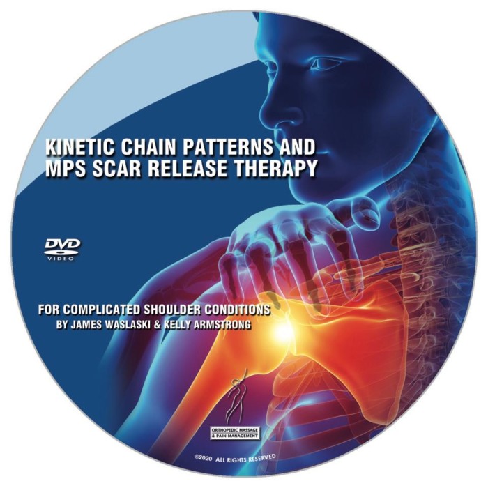 Kinetic Chain Patterns And MPS Scar Therapy For Complicated Shoulder Conditions (DVD) - Image 4